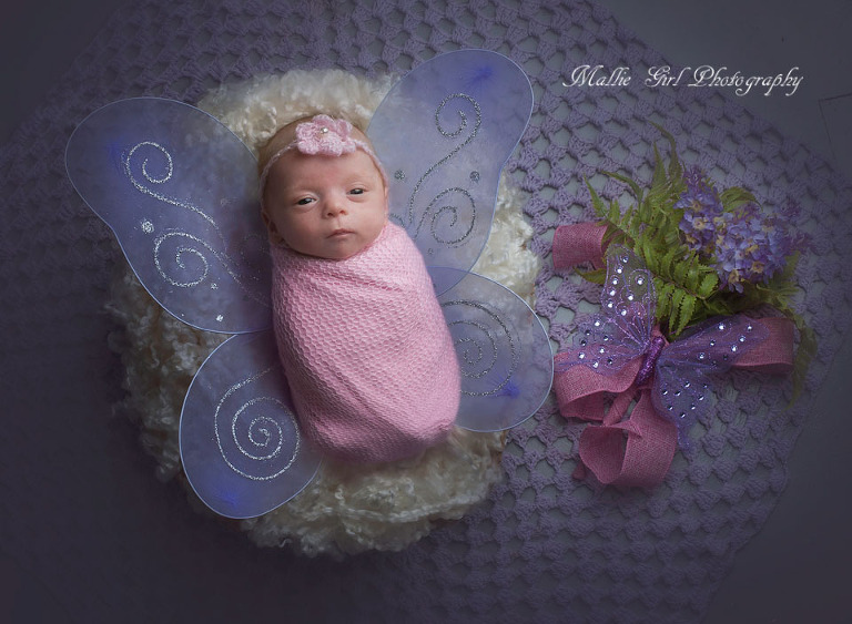 newborn girl purple butterfly Spring