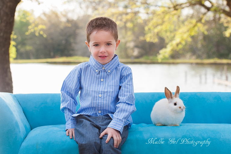 A blu eyed boy with a bunny rabbit