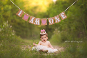 One Year Old Cake Smash Session