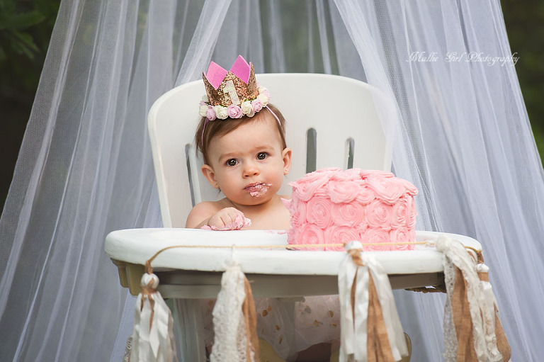 One Year Old Cake Smash Session