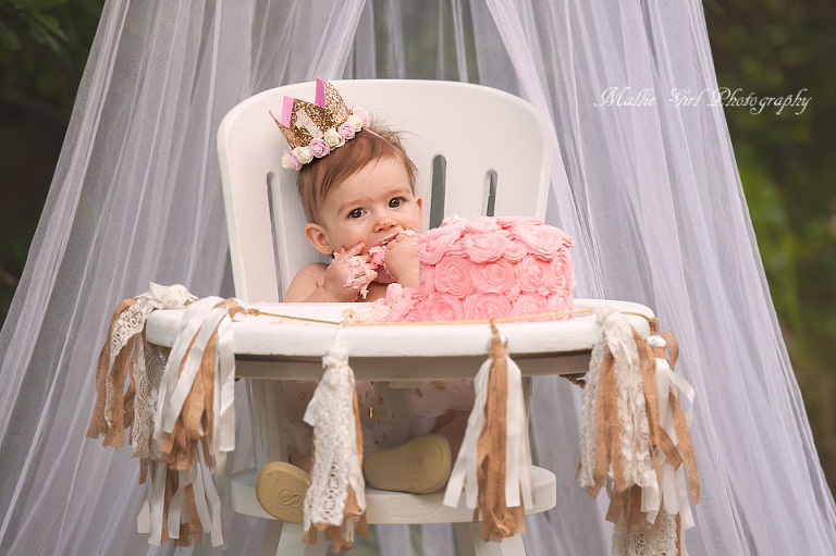 One Year Old Cake Smash Session