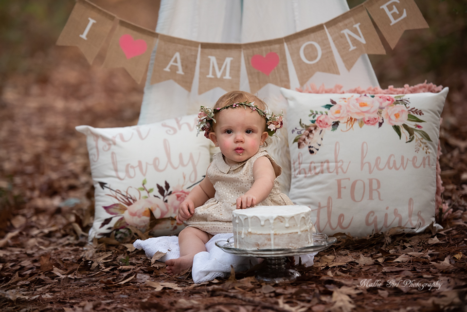 One Year Cake Smash Session by Mallie Girl Photography