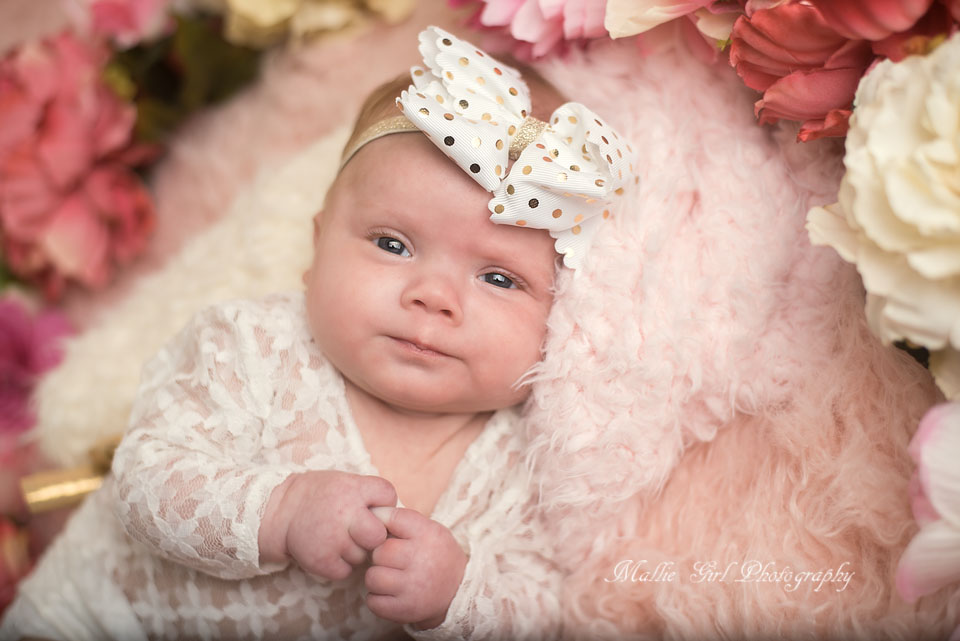 Valentines Day Mini Sessions - Mallie Girl Photography