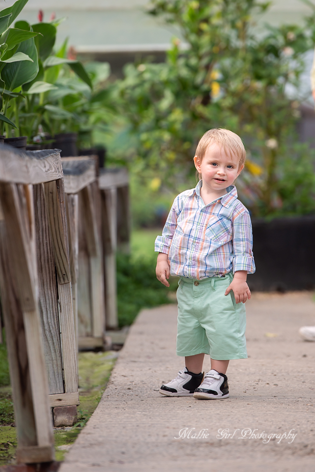 Dsc_5019-copyweb Toddler boy standing on a garden path, wearing a plaid shirt and mint shorts, looking at the camera with a slight smile.